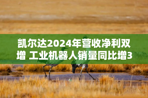 凯尔达2024年营收净利双增 工业机器人销量同比增36.16%