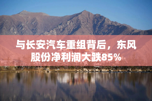 与长安汽车重组背后，东风股份净利润大跌85%