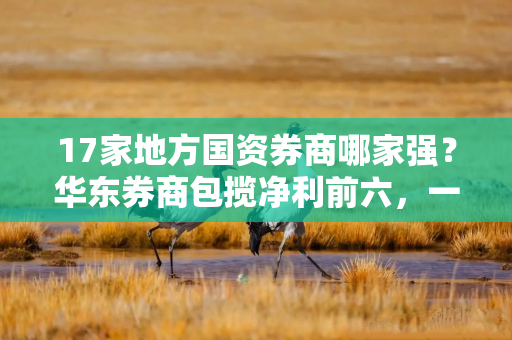 17家地方国资券商哪家强？华东券商包揽净利前六，一、二名均在“包邮区”