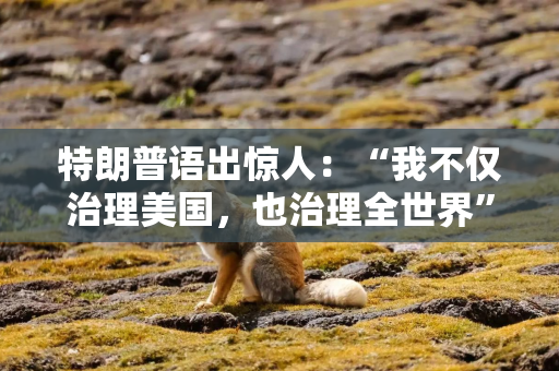 特朗普语出惊人：“我不仅治理美国，也治理全世界”