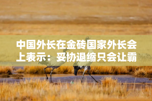 中国外长在金砖国家外长会上表示：妥协退缩只会让霸凌者得寸进尺