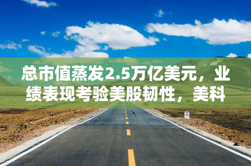 总市值蒸发2.5万亿美元，业绩表现考验美股韧性，美科技巨头财报季深陷“关税焦虑”