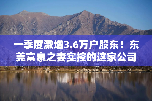一季度激增3.6万户股东！东莞富豪之妻实控的这家公司，刚被立案调查