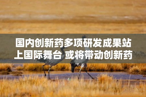 国内创新药多项研发成果站上国际舞台 或将带动创新药板块增长