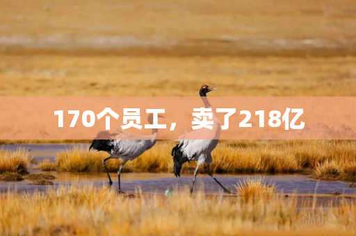 170个员工，卖了218亿