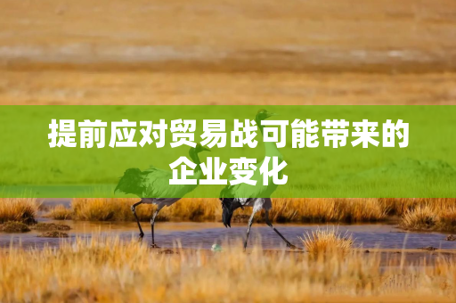 提前应对贸易战可能带来的企业变化