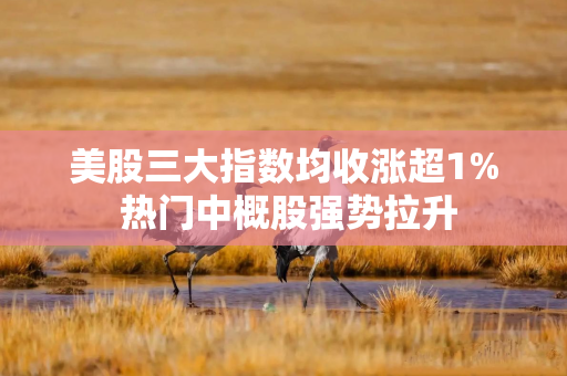 美股三大指数均收涨超1% 热门中概股强势拉升