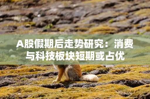 A股假期后走势研究：消费与科技板块短期或占优