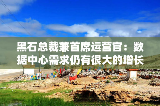 黑石总裁兼首席运营官：数据中心需求仍有很大的增长空间