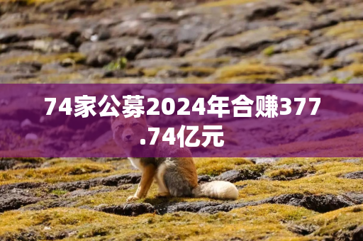 74家公募2024年合赚377.74亿元