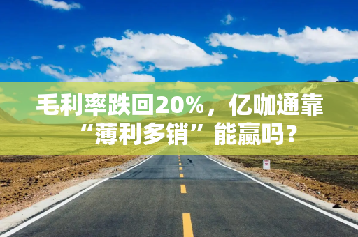 毛利率跌回20%，亿咖通靠“薄利多销”能赢吗？