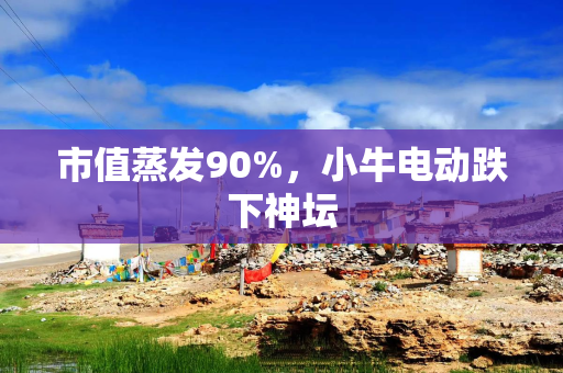 市值蒸发90%，小牛电动跌下神坛