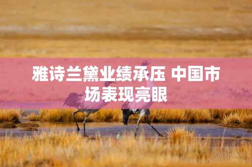 雅诗兰黛业绩承压 中国市场表现亮眼