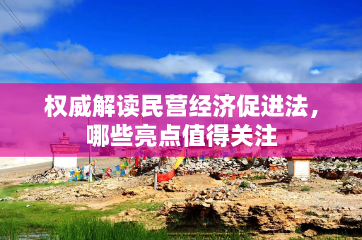 权威解读民营经济促进法，哪些亮点值得关注