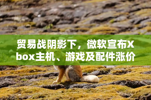 贸易战阴影下，微软宣布Xbox主机、游戏及配件涨价