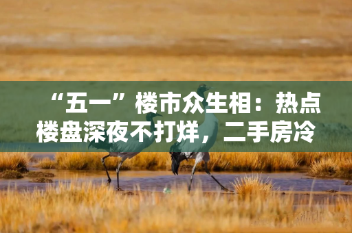 “五一”楼市众生相：热点楼盘深夜不打烊，二手房冷热分化