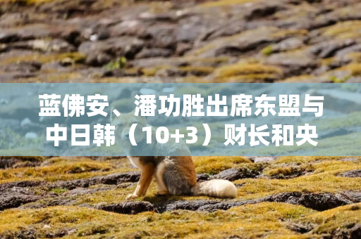 蓝佛安、潘功胜出席东盟与中日韩（10+3）财长和央行行长会议表示 不断深化区域财金合作 强化金融安全网