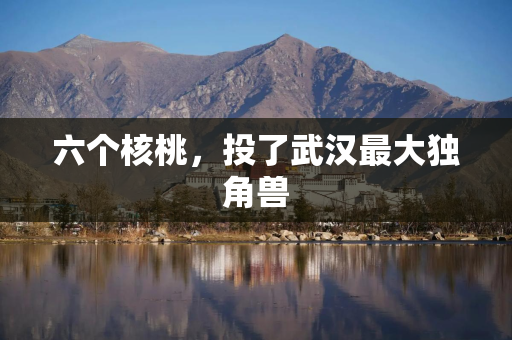 六个核桃，投了武汉最大独角兽