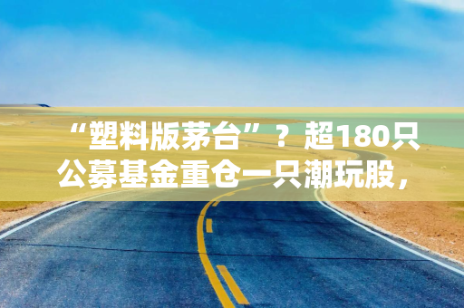 “塑料版茅台”？超180只公募基金重仓一只潮玩股，凭什么？