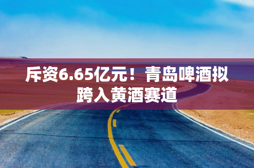 斥资6.65亿元！青岛啤酒拟跨入黄酒赛道