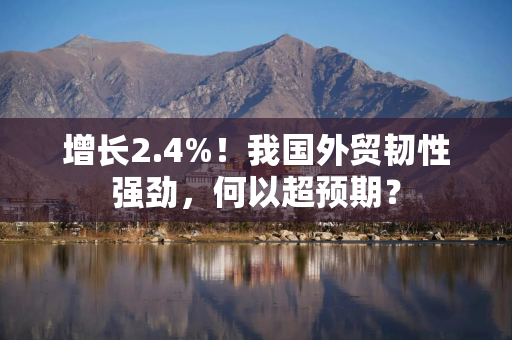 增长2.4%！我国外贸韧性强劲，何以超预期？