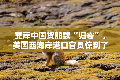 靠岸中国货船数“归零”，美国西海岸港口官员惊到了
