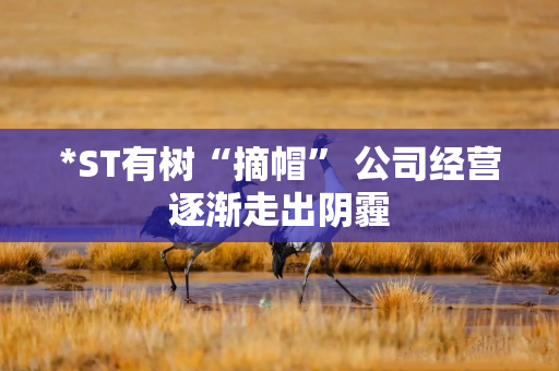 *ST有树“摘帽” 公司经营逐渐走出阴霾