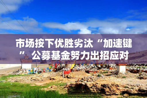 市场按下优胜劣汰“加速键” 公募基金努力出招应对