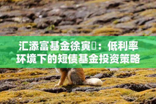 汇添富基金徐寅喆：低利率环境下的短债基金投资策略