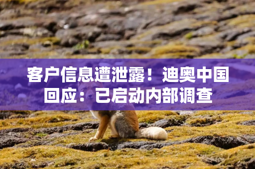 客户信息遭泄露！迪奥中国回应：已启动内部调查
