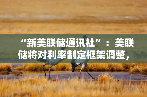 “新美联储通讯社”：美联储将对利率制定框架调整，承认长期低利率可能已结束