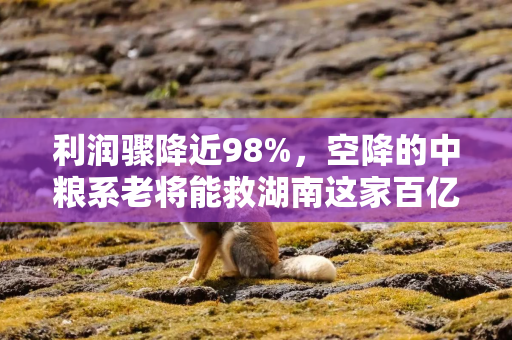 利润骤降近98%，空降的中粮系老将能救湖南这家百亿酒企？