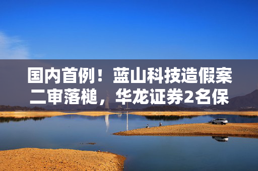国内首例！蓝山科技造假案二审落槌，华龙证券2名保代承担连带赔偿责任