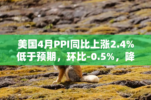 美国4月PPI同比上涨2.4%低于预期，环比-0.5%，降幅创下五年来最大!