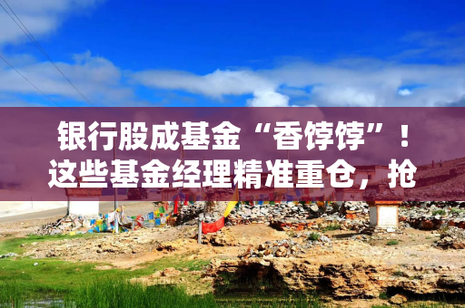 银行股成基金“香饽饽”！这些基金经理精准重仓，抢筹上海银行、宁波银行