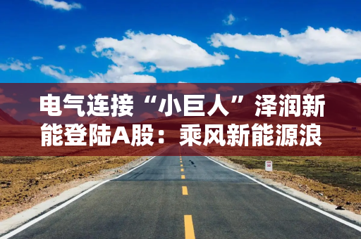 电气连接“小巨人”泽润新能登陆A股：乘风新能源浪潮估值可期