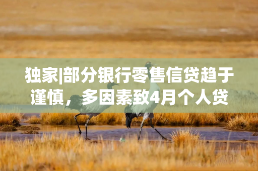 独家|部分银行零售信贷趋于谨慎，多因素致4月个人贷款大幅少增