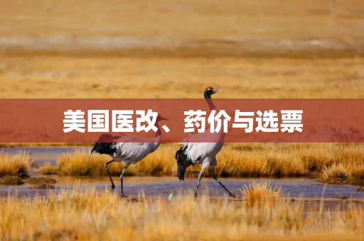 美国医改、药价与选票
