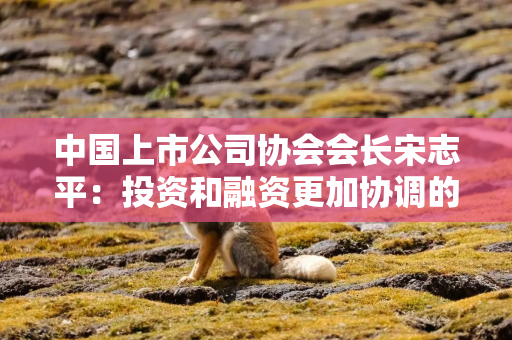 中国上市公司协会会长宋志平：投资和融资更加协调的市场生态正在加快形成