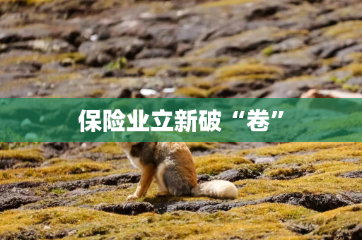 保险业立新破“卷”