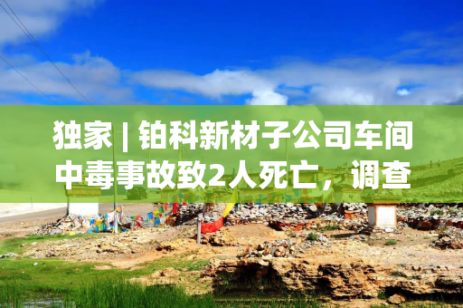 独家 | 铂科新材子公司车间中毒事故致2人死亡，调查工作已被挂牌督办
