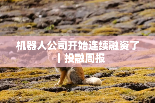 机器人公司开始连续融资了丨投融周报
