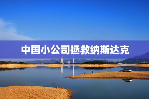 中国小公司拯救纳斯达克
