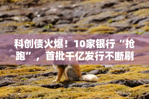 科创债火爆！10家银行“抢跑”，首批千亿发行不断刷新