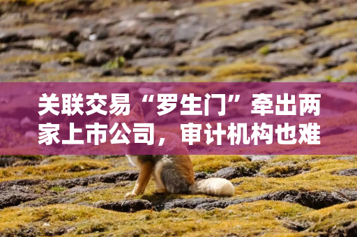 关联交易“罗生门”牵出两家上市公司，审计机构也难厘清，洪田股份最新回应：正加紧核查