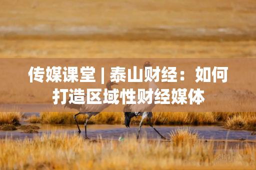 传媒课堂 | 泰山财经：如何打造区域性财经媒体