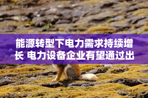 能源转型下电力需求持续增长 电力设备企业有望通过出海打开新的成长空间