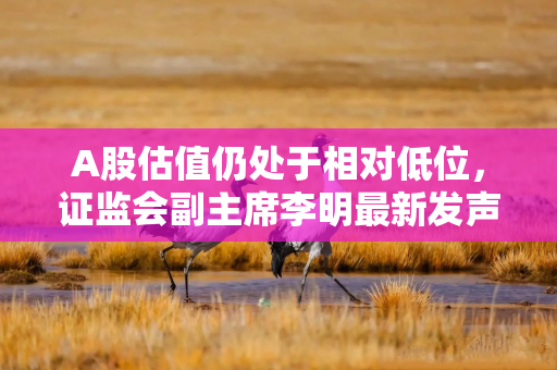 A股估值仍处于相对低位，证监会副主席李明最新发声六大要点