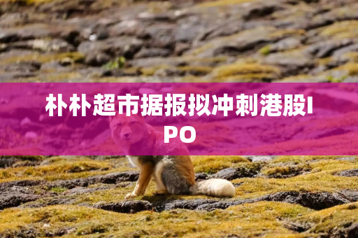 朴朴超市据报拟冲刺港股IPO