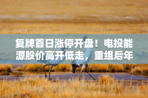 复牌首日涨停开盘！电投能源股价高开低走，重组后年煤炭产能或突破6000万吨